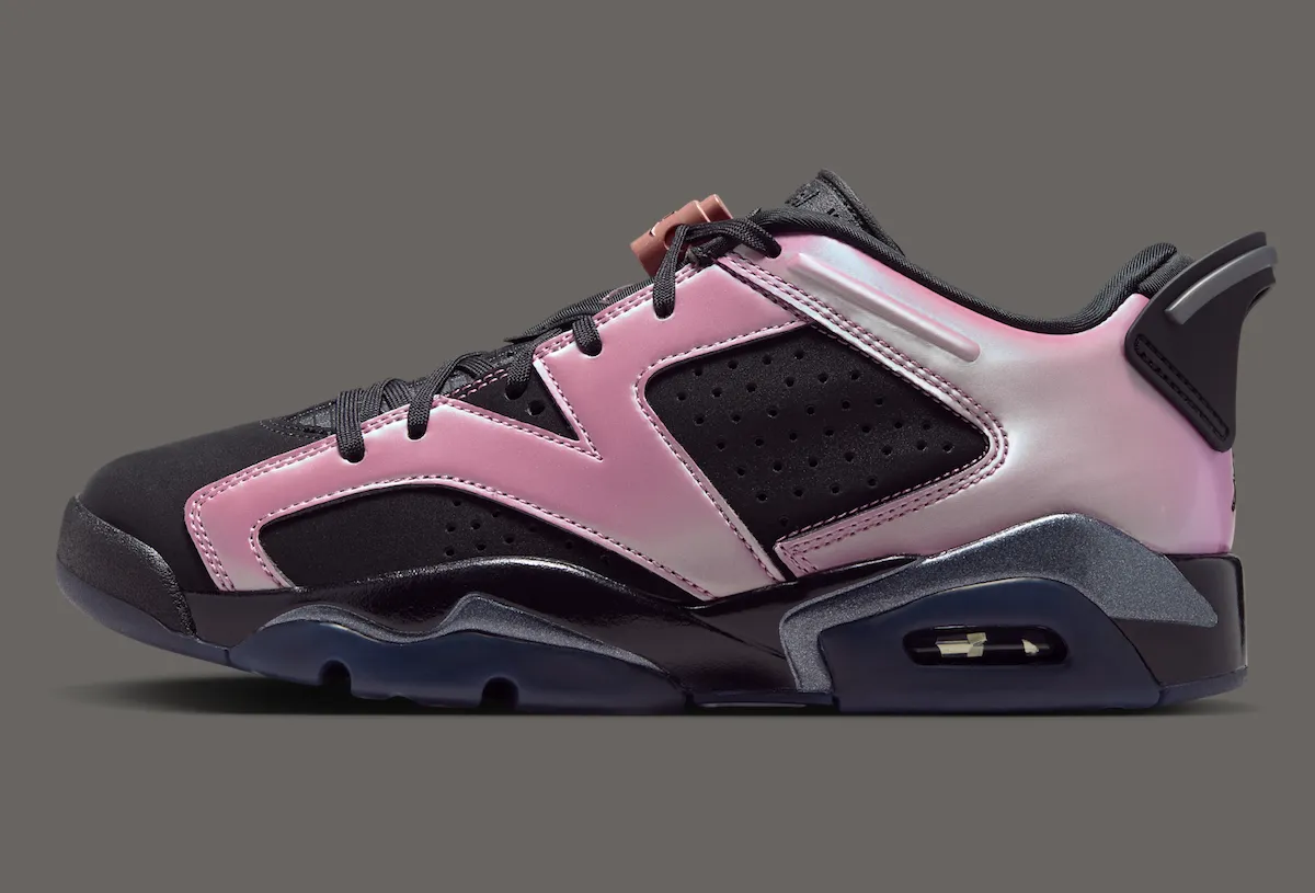 Air Jordan 6 Low Metamorphosis IX5195-001 1