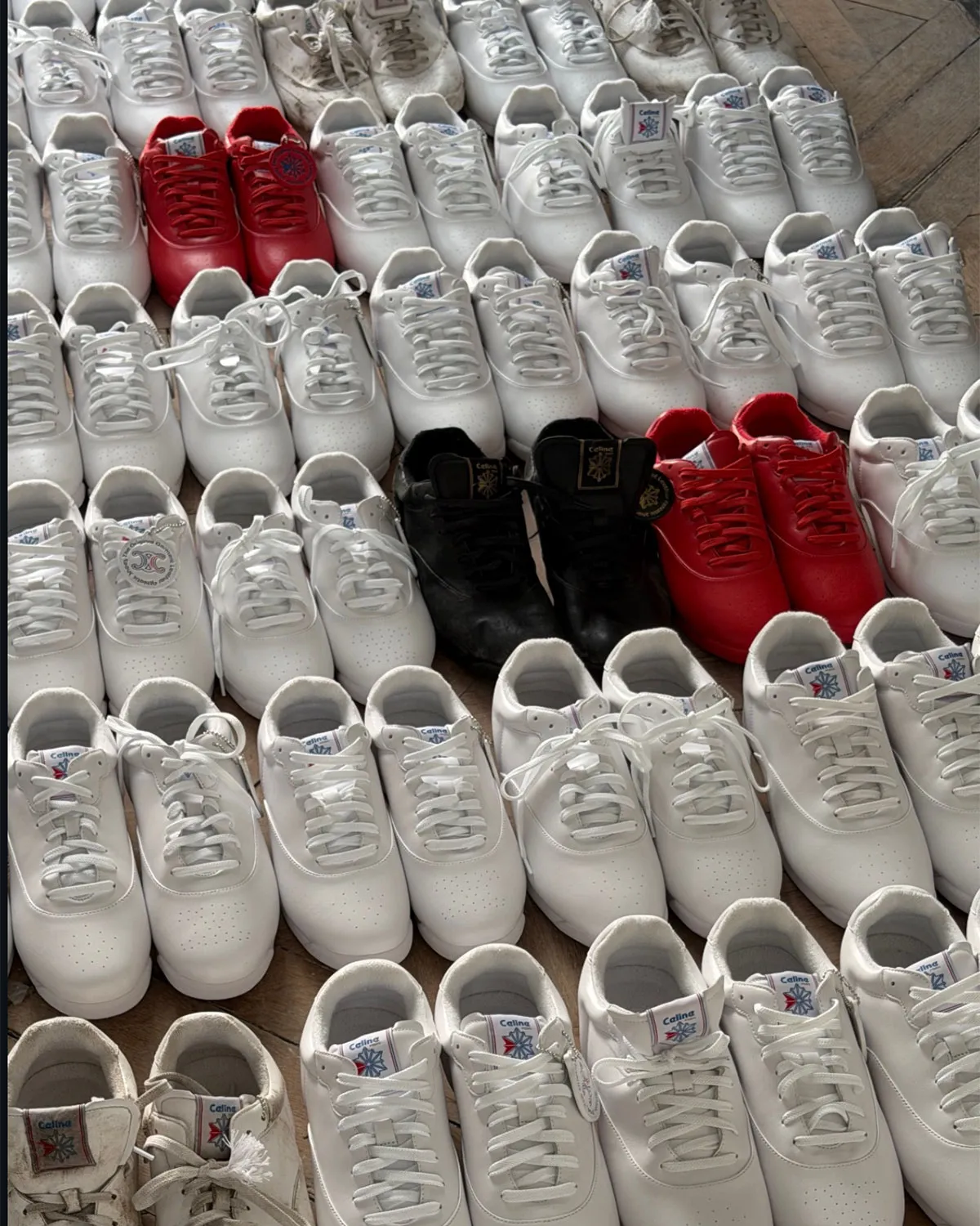 Celine Paris Reebok Shoes 4