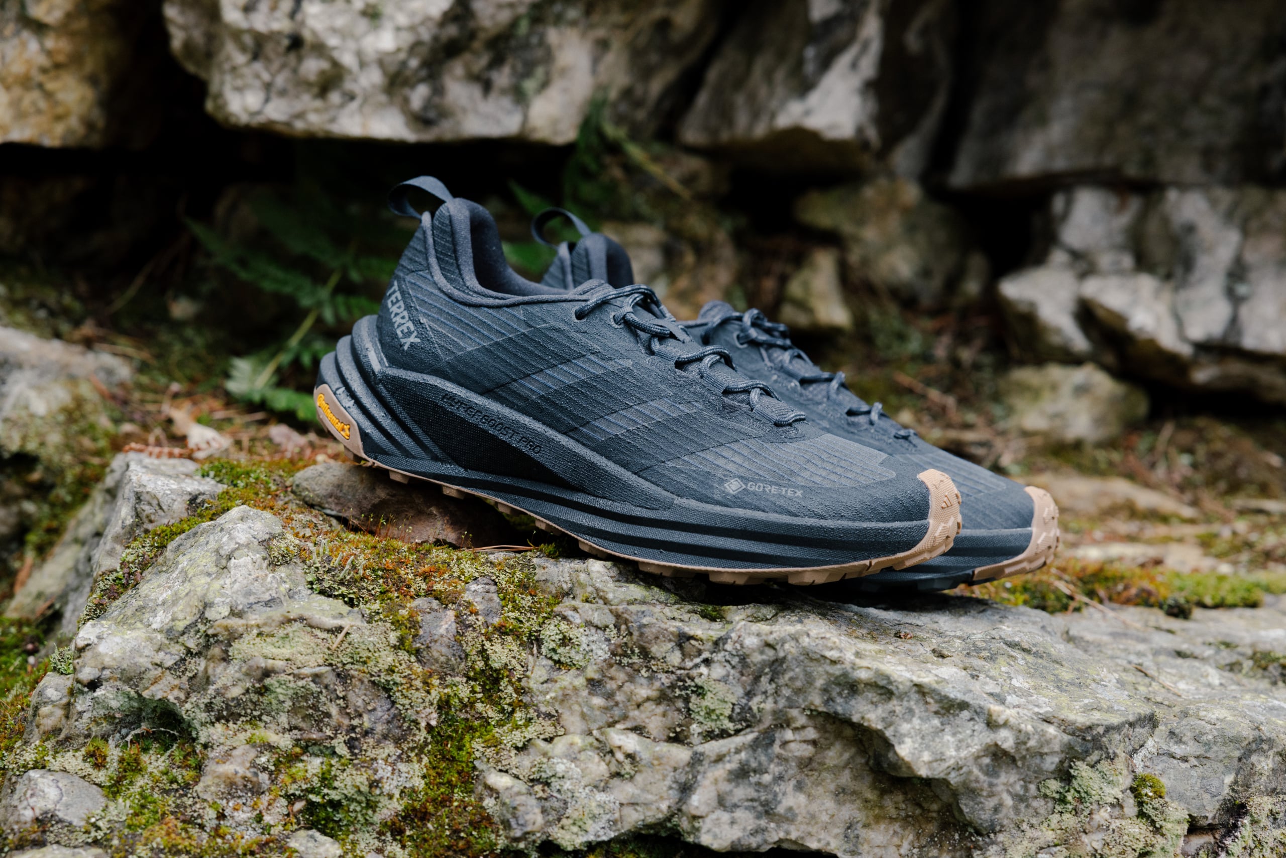 adidas Terrex Chorski 3951