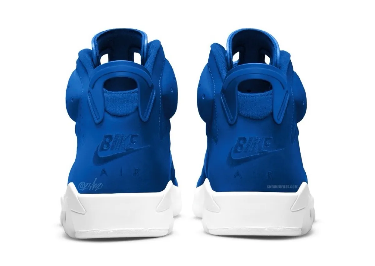 Nigel Sylvester Air Jordan 6 Blue Paperboy 1