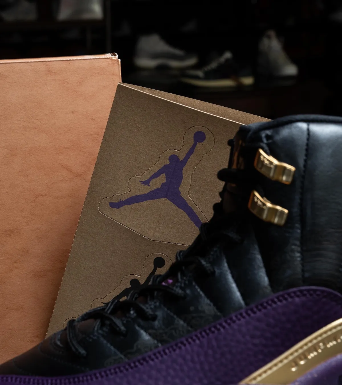 Air Jordan 12 Sumo IW1218-098 6