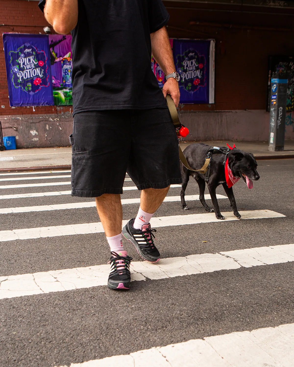 on-foot partly visible, man and woman crouching with black dog on cobblestones, Doggy Runner