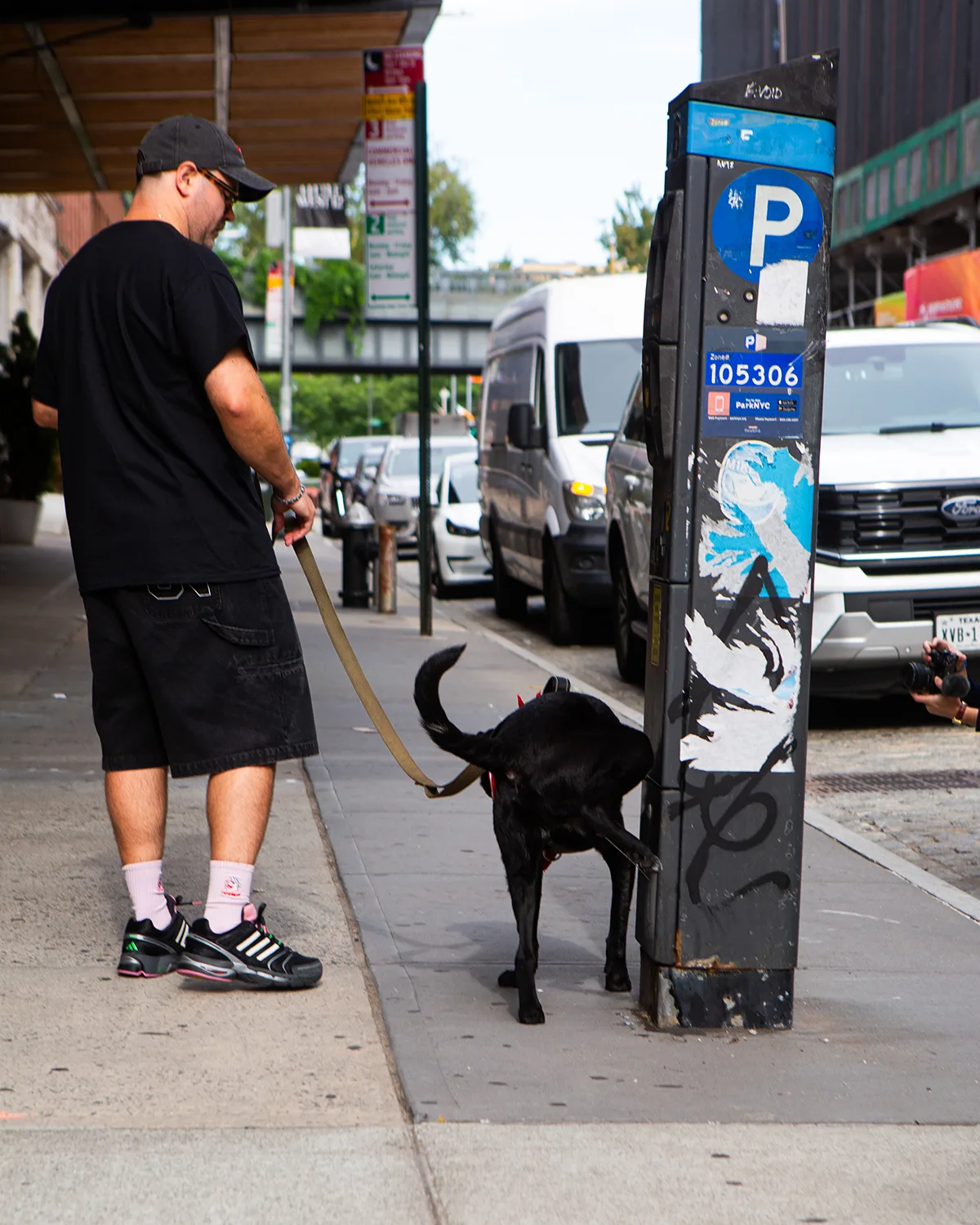 lateral view balanced on fire hydrant, pink heel tab, graffiti mural backdrop, Doggy Runner