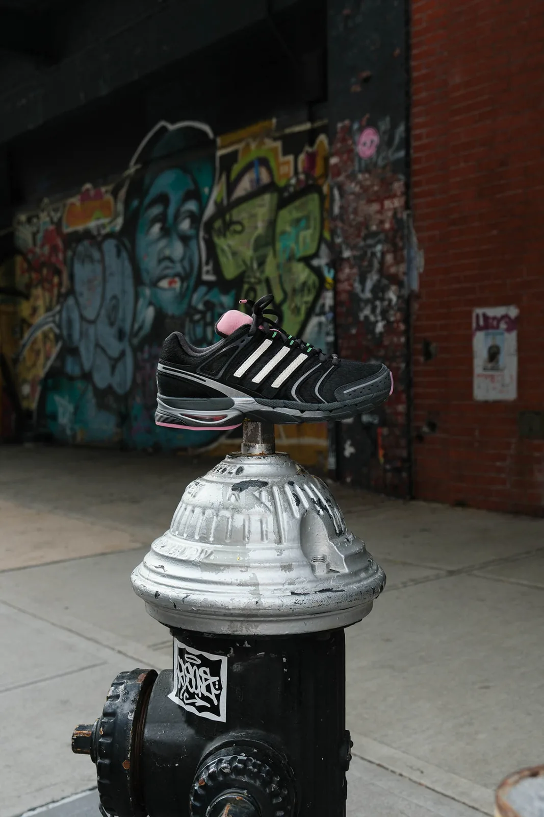 heel view balanced on hydrant, green 'runner' text, white paw print, brick wall, Doggy Runner