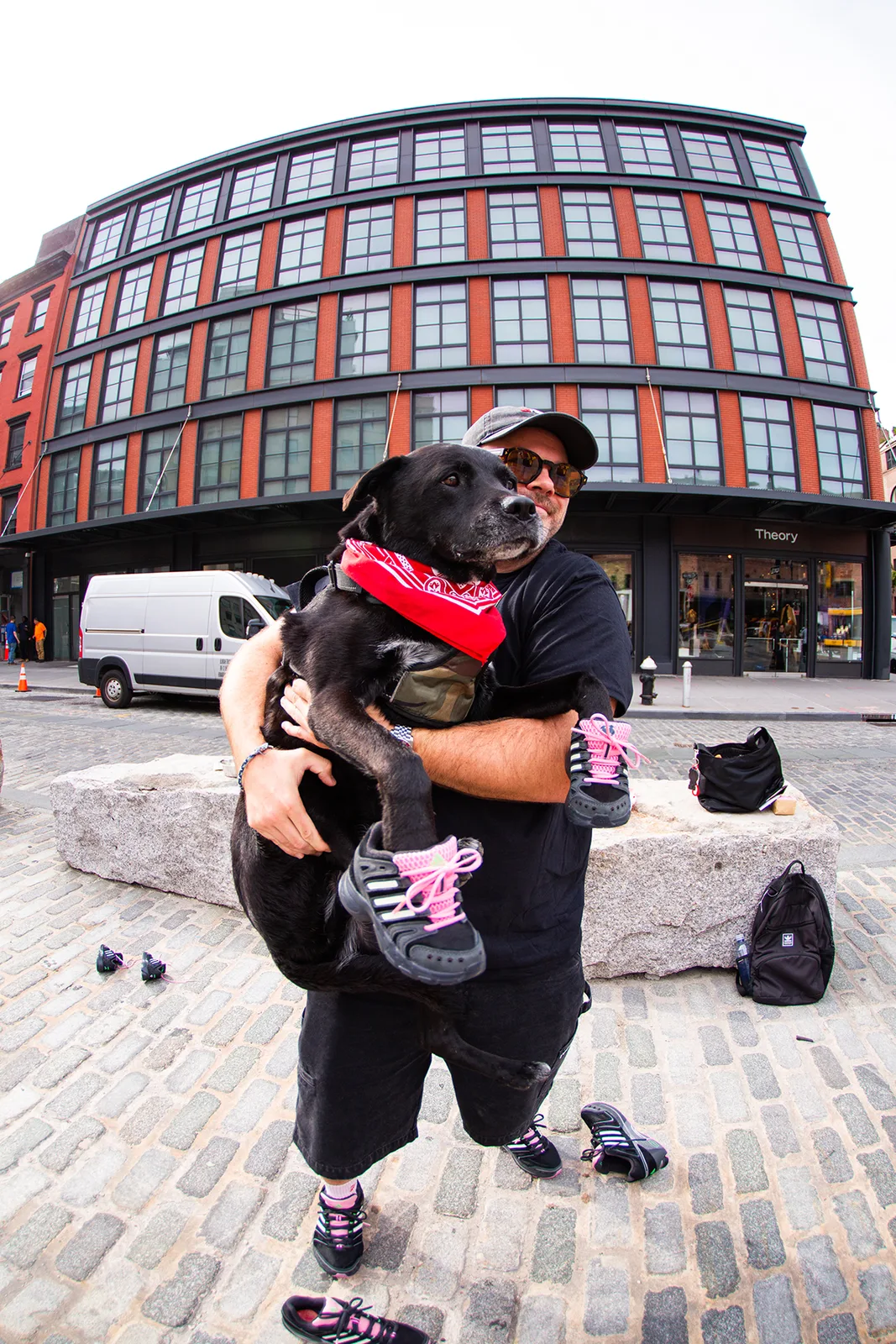 pair on cobblestones, second shoe held in hand, dog barking in red bandana, Doggy Runner