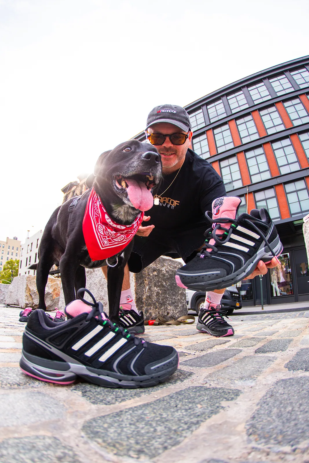 on-foot pair, man pointing while walking dog past a blue trash bin, Doggy Runner
