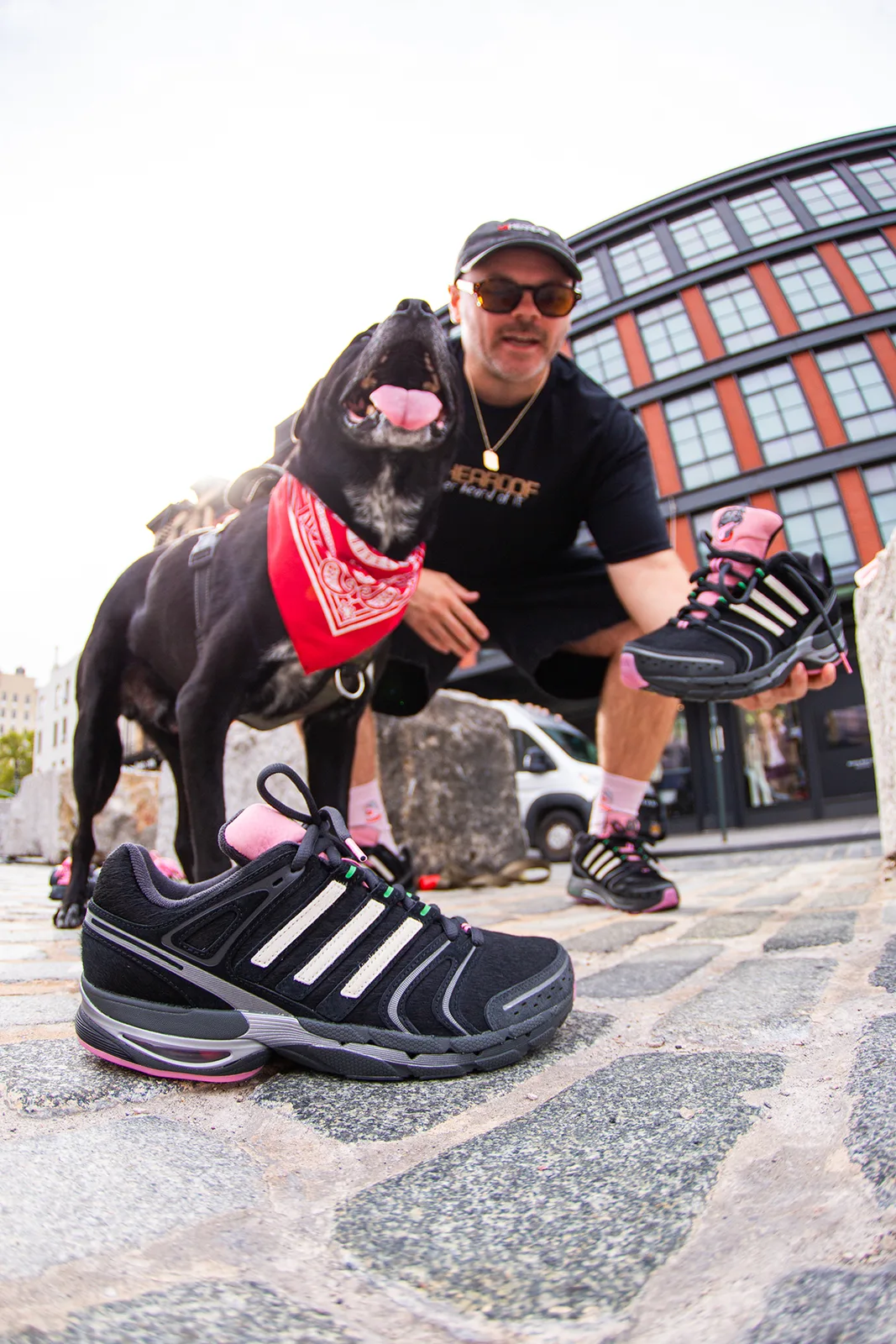 pair on cobblestones plus one held up, man crouching with dog in red bandana, Doggy Runner