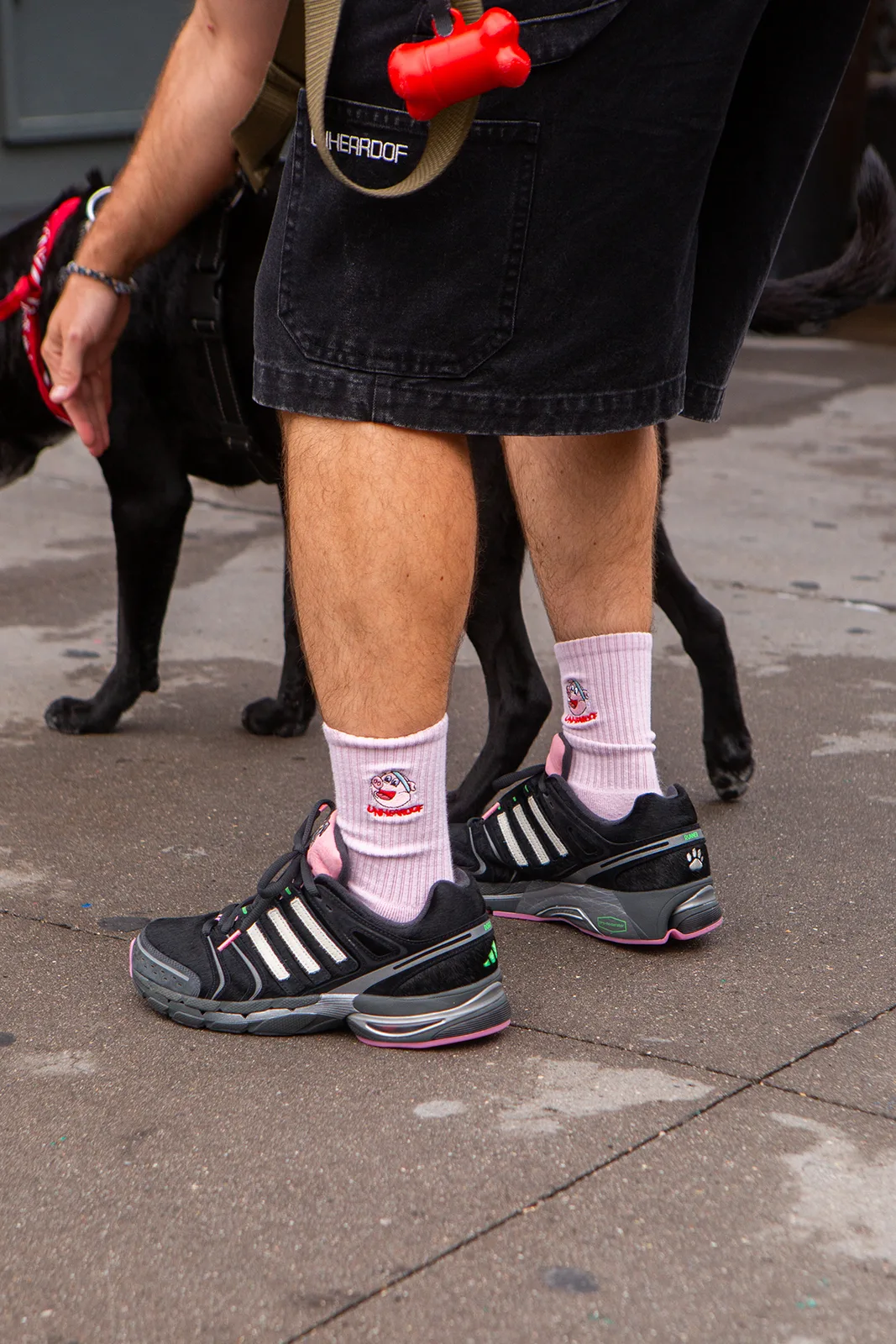 on-foot pair, man walking black dog, pink ankle socks with cartoon logo, Doggy Runner