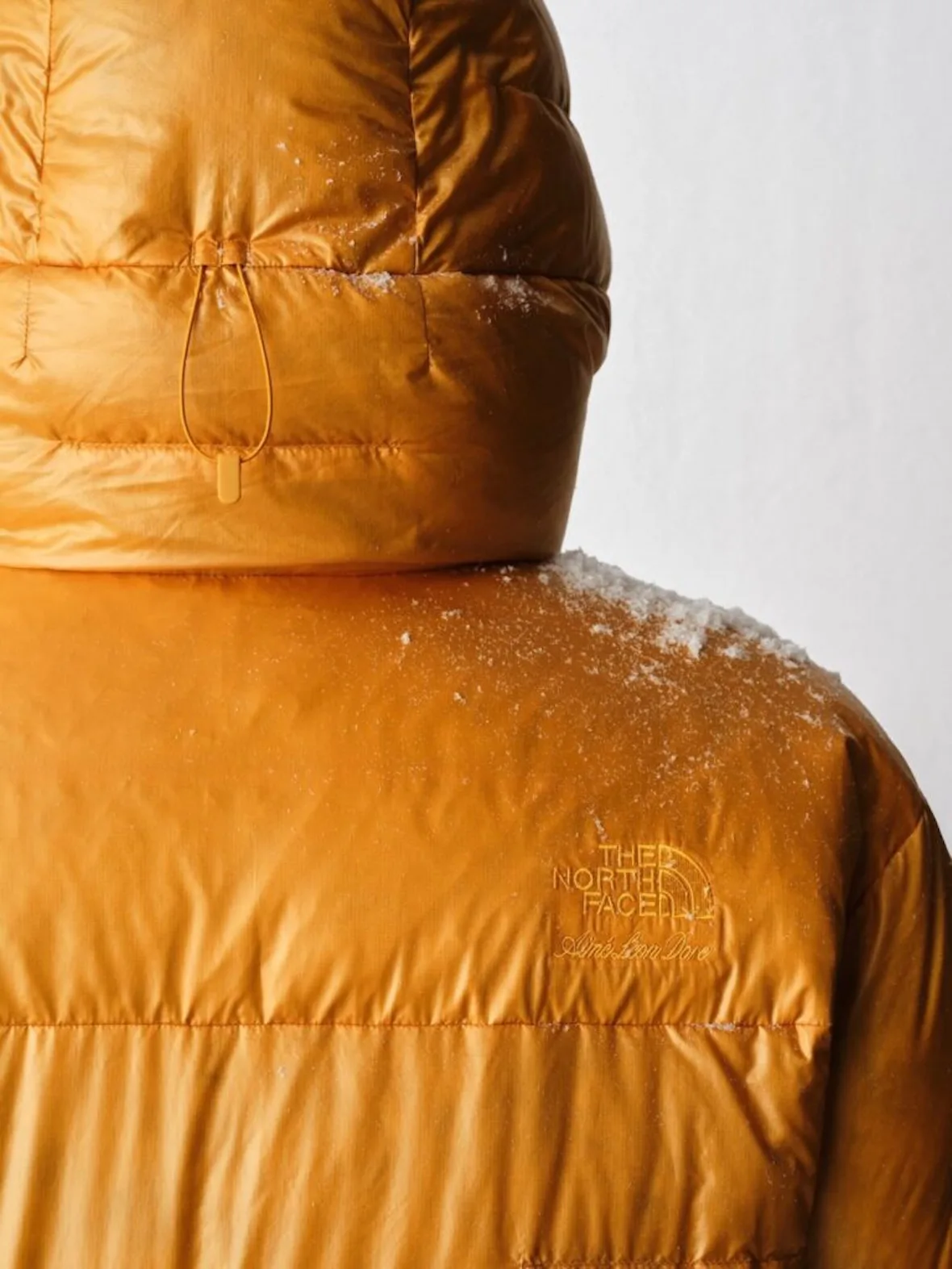 detail, gold puffer hood and shoulder dusted with snow, tonal logo, Fall/Winter 2026 Collection