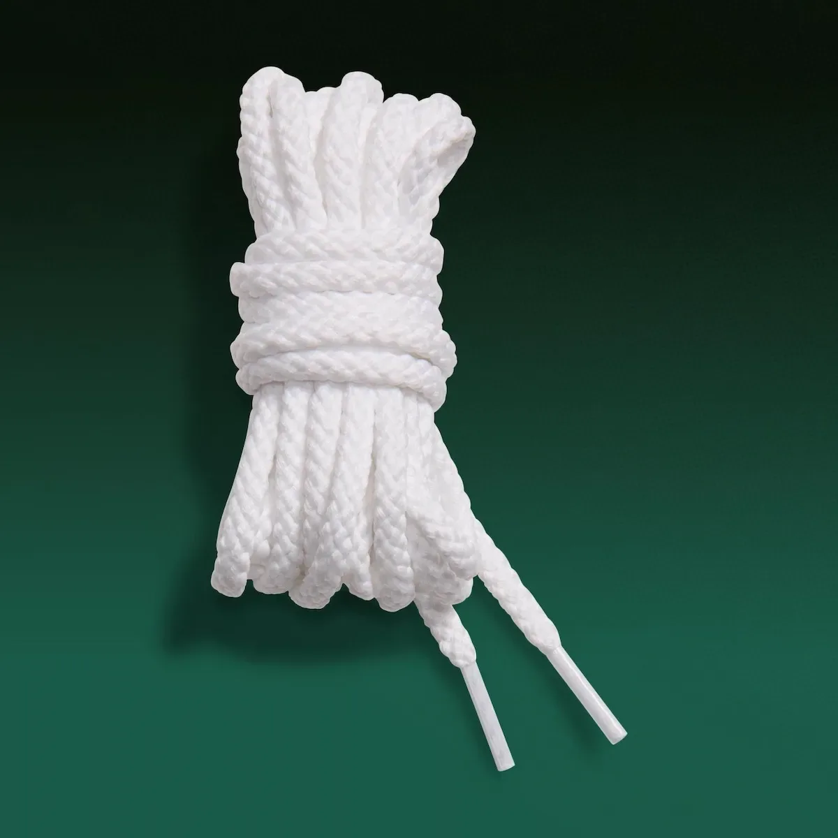 coiled white replacement laces with plastic aglets on green background, Mummy Duck