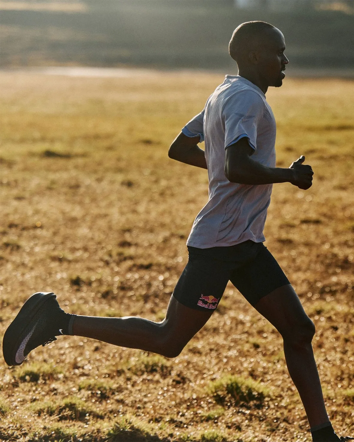 runner in silhouette on a golden field wearing black shoes, red bull shorts, Nike Apex