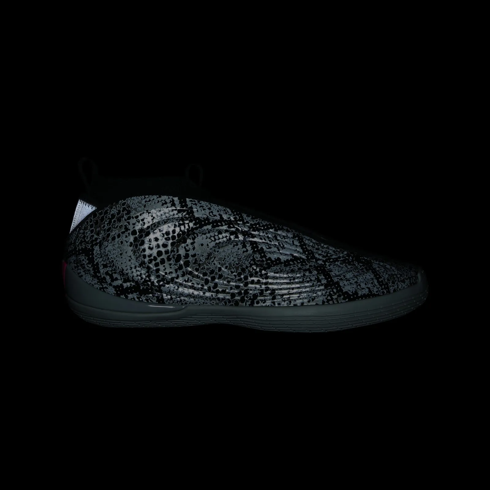 Lateral view in the dark, snakeskin print reflecting light against black background, Snakeskin