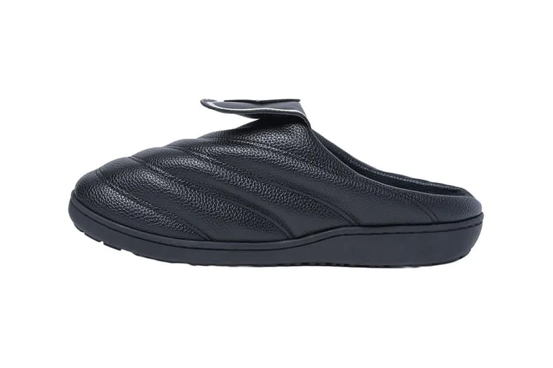 Lateral view of the Black