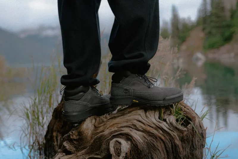 On-foot view on a log by a lake, black trousers, mountains in the background, Black