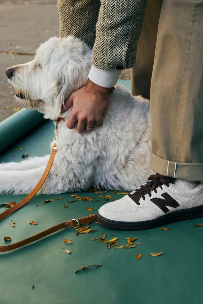 On-foot lateral view of cream suede sneaker with brown N, white fluffy dog and tan leash on teal floor, Café