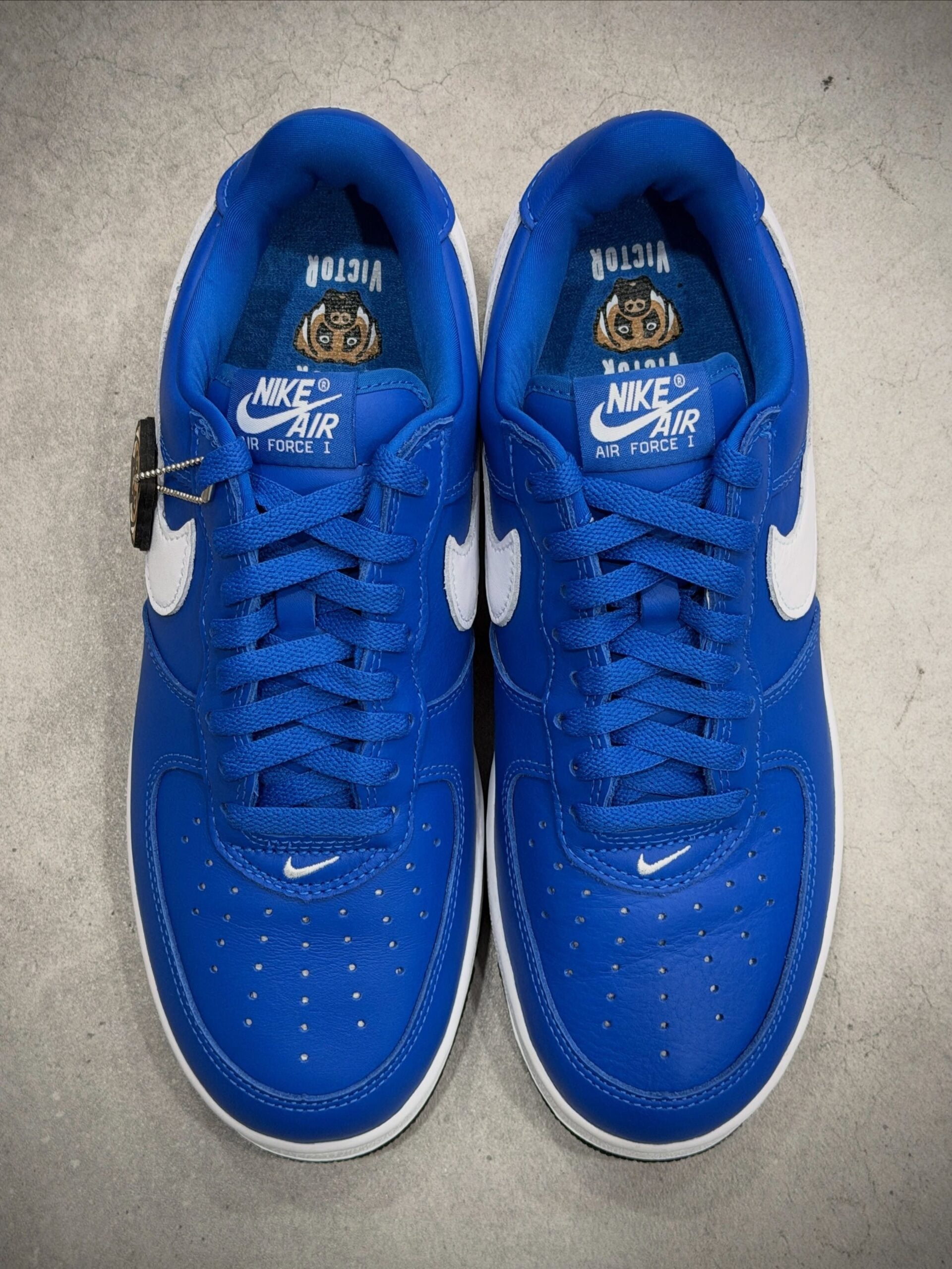 top-down pair, blue tongues with Nike Air Force 1 text and upside-down bulldog graphic, Blue