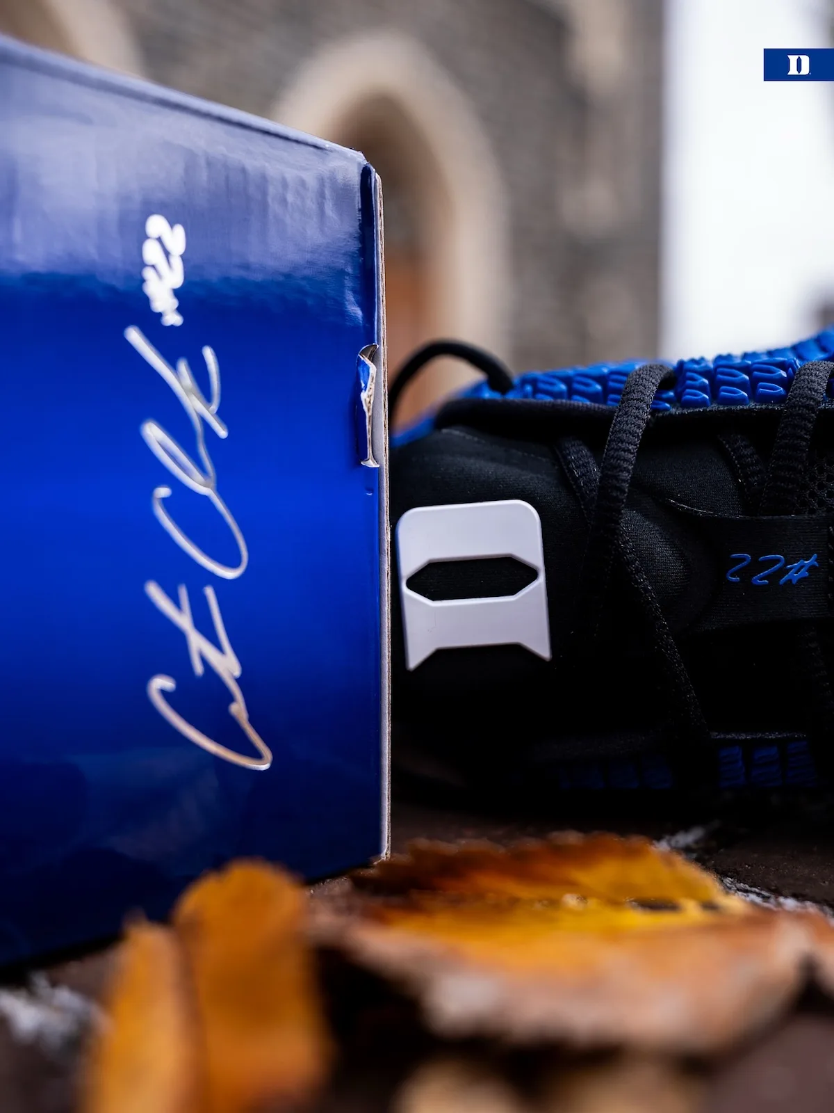 Detail of blue box with white signature beside black tongue with white D and #22, Duke