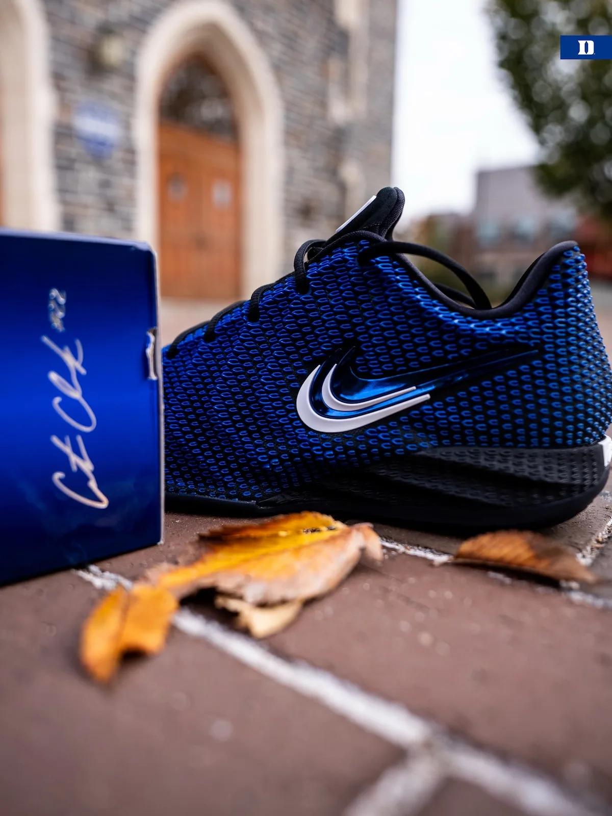 Low-angle lateral view beside blue signature box, autumn leaves, white and blue swoosh, Duke