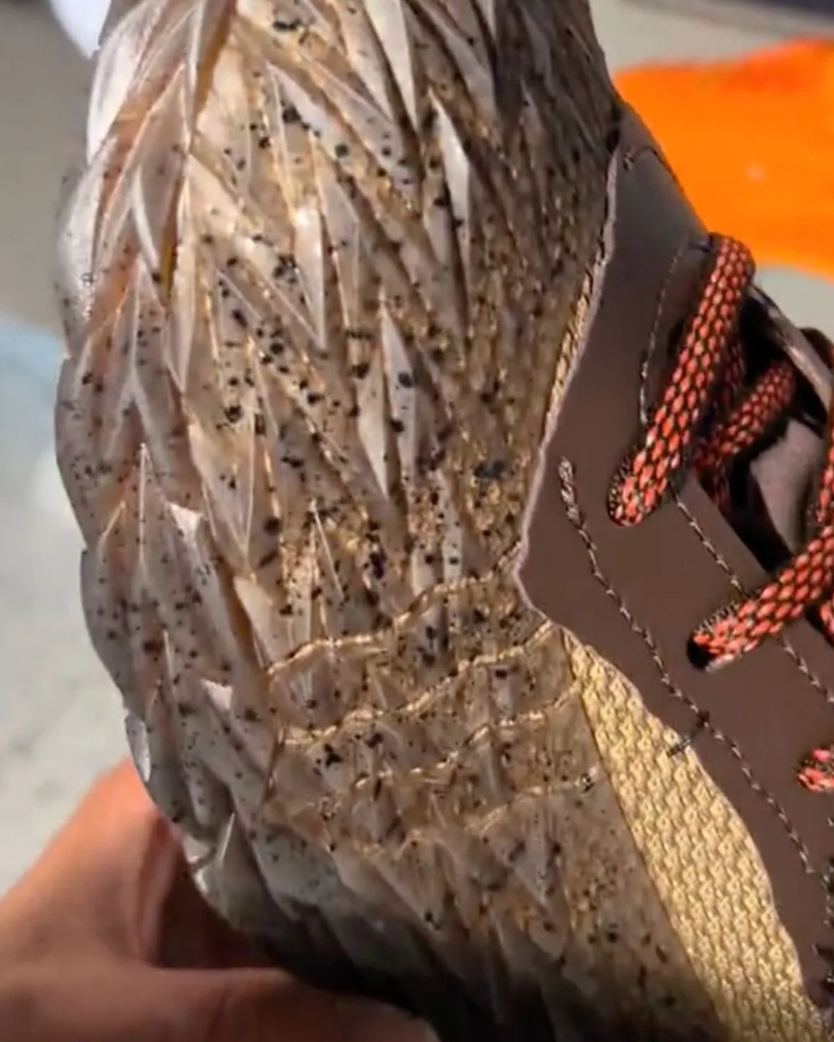 Close-up in hand of speckled spiky sole and red laces on brown leather, Halloween