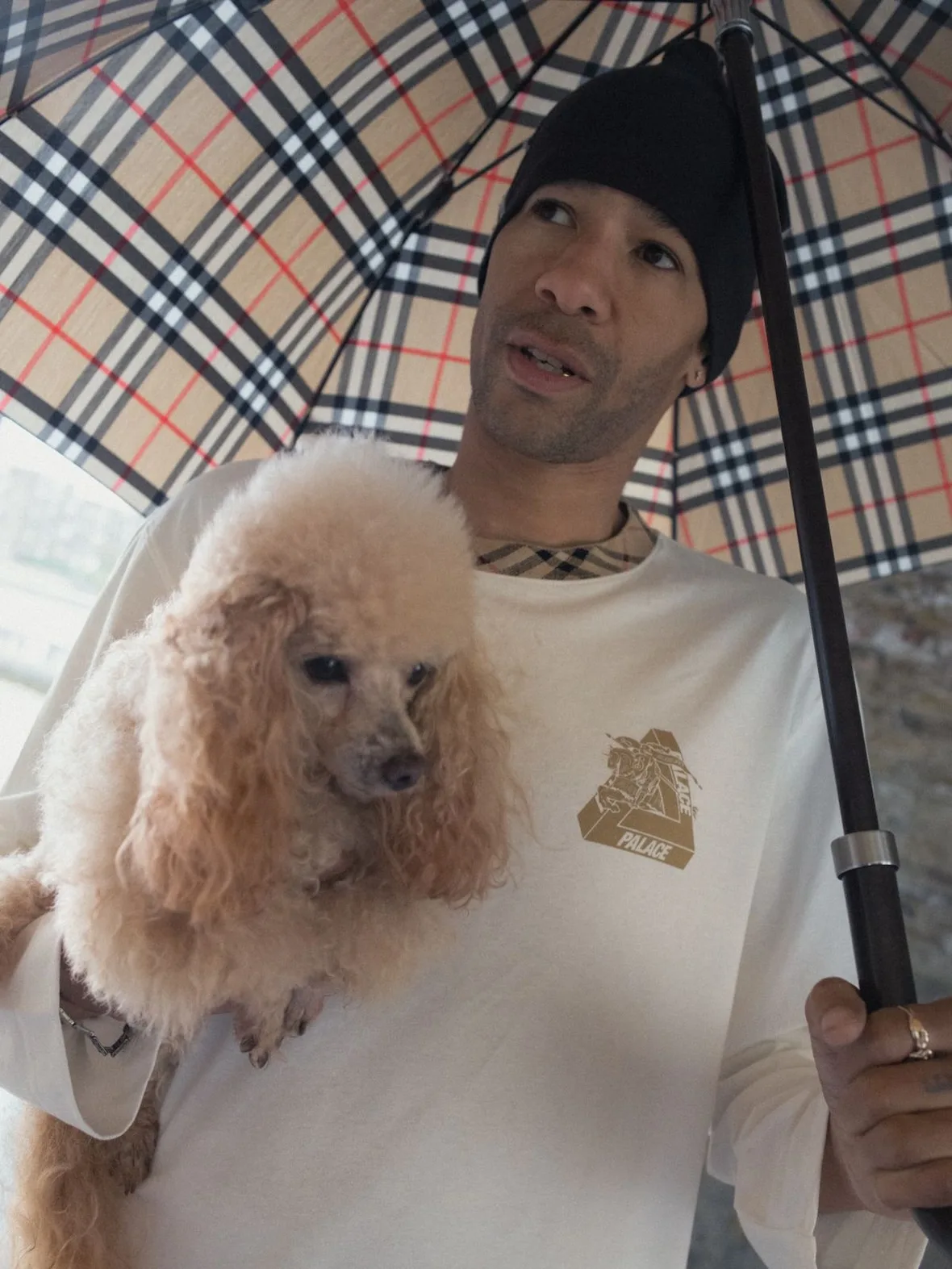 On-foot shot of man in black beanie holding a poodle under a beige check umbrella, gold Palace logo tee, x Burberry