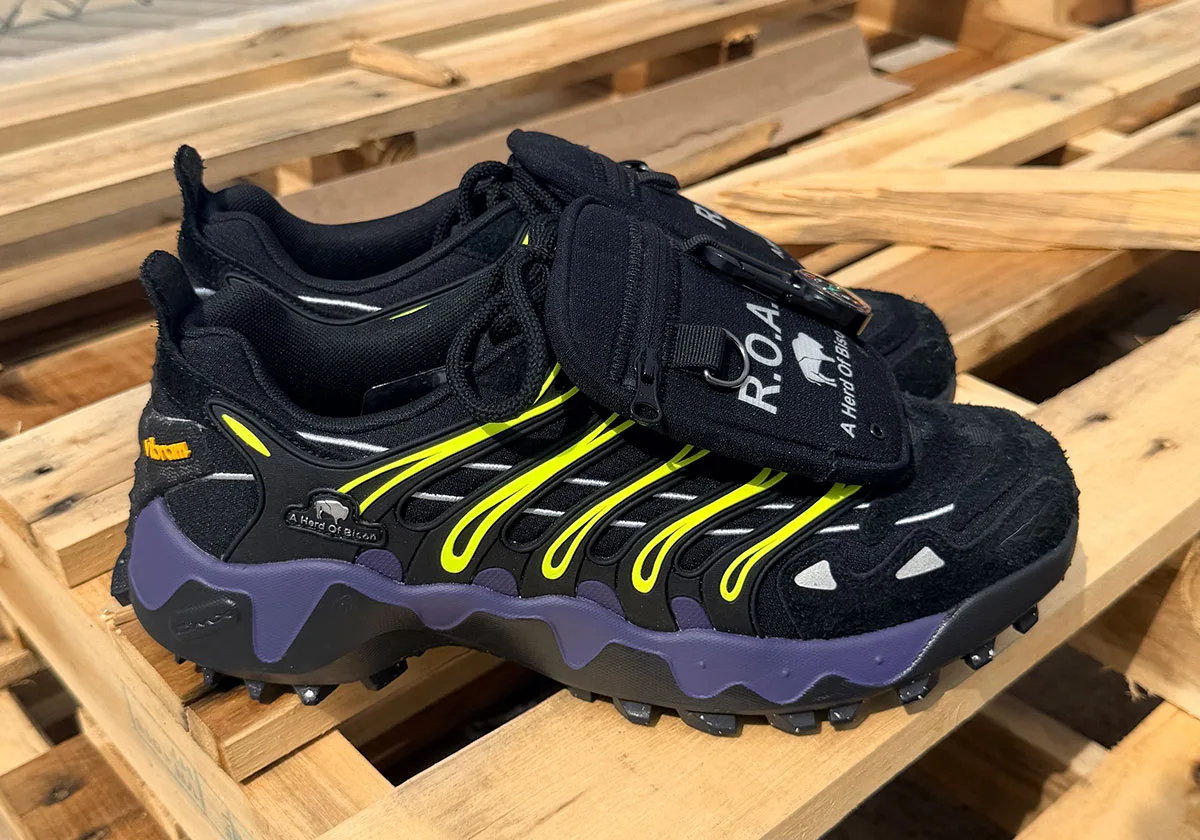Reebok DMX Trailzilla x A Herd of Bison Releases November 1