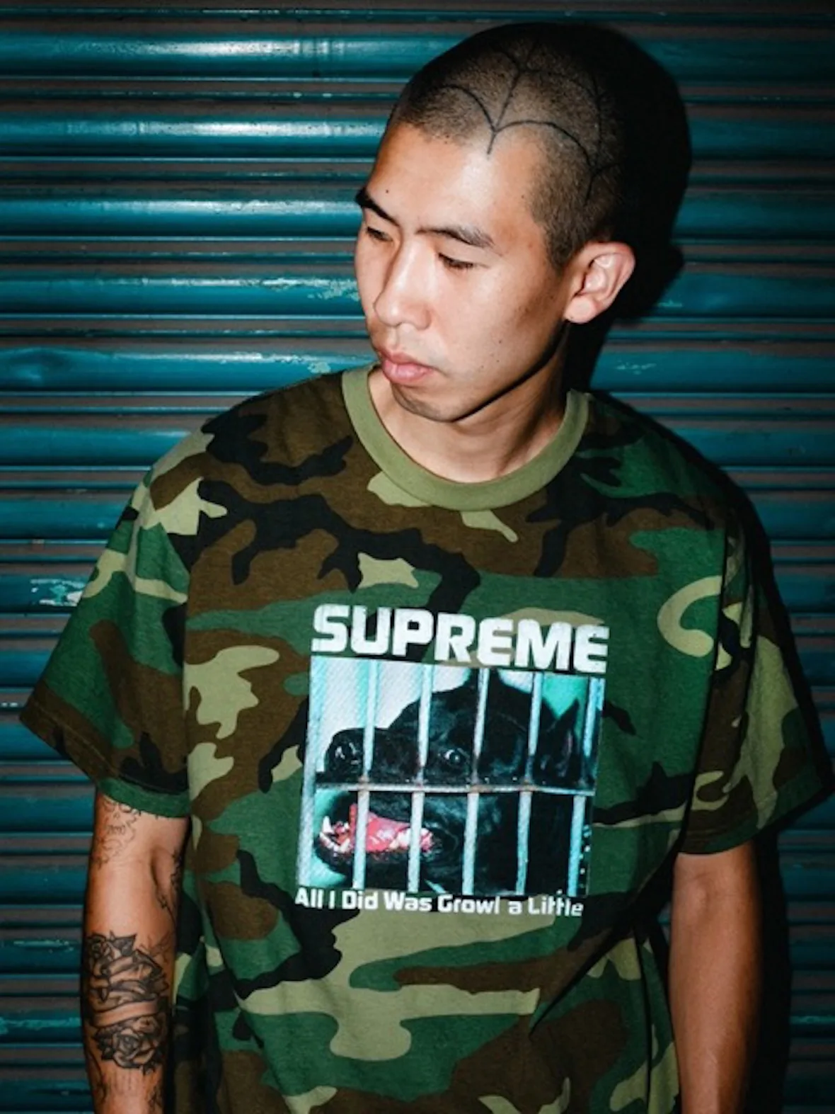 On-foot shot of person in camouflage tee with caged dog graphic, against teal shutter, 2026 Tees Collection